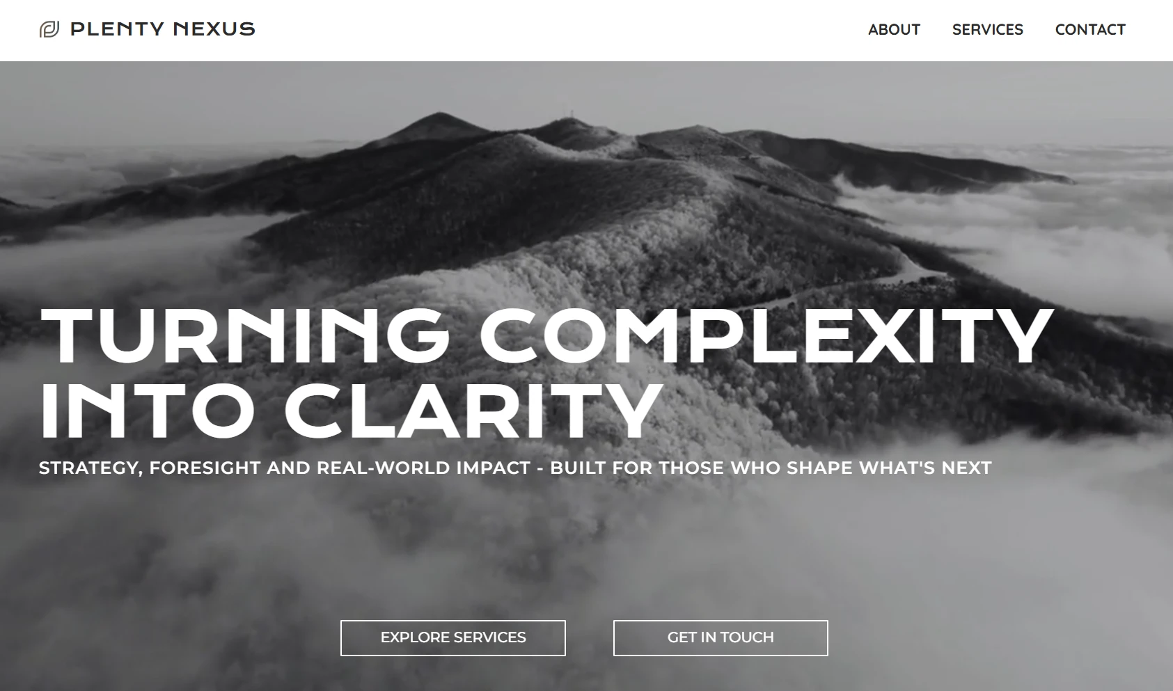 The Plenty Nexus website — the implementation-partner NGO Plenty Group works alongside